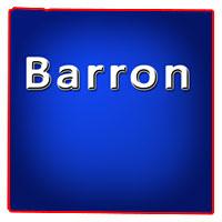 Barron County WI Pubs Taverns Bars & Grills for Sale