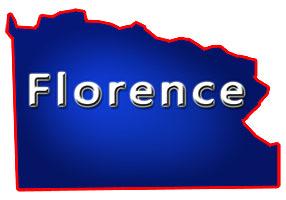 Florence County WI Pubs Taverns Bars & Grills for Sale