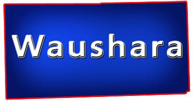 Waushara County WI Pubs Taverns Bars & Grills for Sale